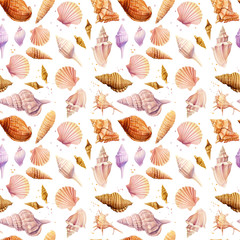 Seamless pattern seashells, isolated on white background. Watercolor hand drawn illustrations