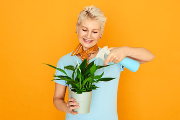 Elegant female pensioner spending time indoors taking care of houseplant. Retired woman holding...