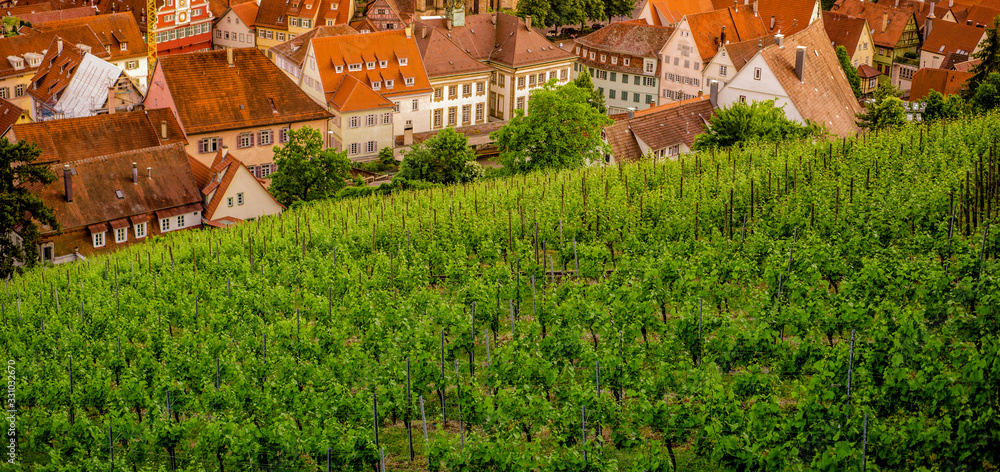 Wall mural Vineyard on hill and old city with red roofs in the valley. Landscape top view