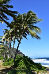 Fototapeta na wymiar La plage de Grande Anse sur l'île de la Réunion