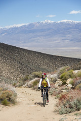 Fototapeta premium Woman Mountain Biker