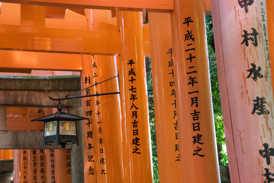 Fushimi Inari Shrine, dettaglio dei torii