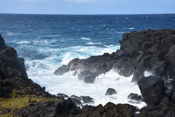 Fototapeta na wymiar Le sud sauvage sur l'île de la Réunion