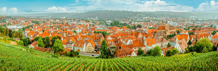 Vineyard on hill and old city with red roofs in the valley. Landscape panorama from top.
