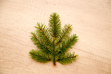 spruce branches in the shape of a Christmas tree on a wooden background