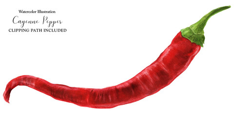 Hot red fresh cayenne chili pepper, watercolor with clipping path - obrazy, fototapety, plakaty