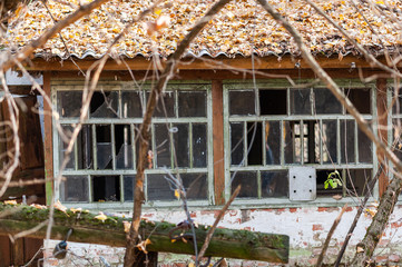 Windows of abandoned house in Chernobyl Exclusion Zone, Ukraine with branches in foreground