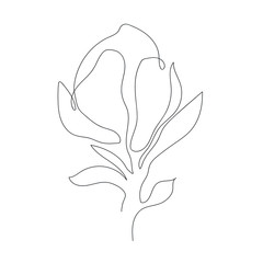  Magnolia flower linear illustration .Vector. One line art. Minimalism. White background.