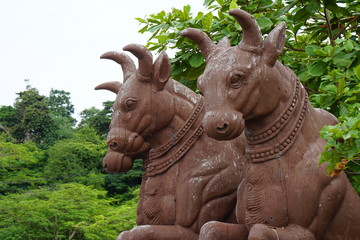 The ancient statues of 3 bison and the backdrop of the leaves in Thailand.