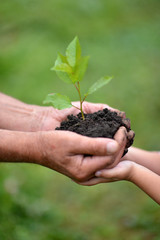 granddaughter and grandmother holding plant close up