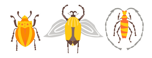 Vector Tropical set of exotic insects in flat hand-drawn style. Beetles and cockroaches, insects with wings and mustache. Yellow and orange insects and colorful flat graphics. Stickers, website design