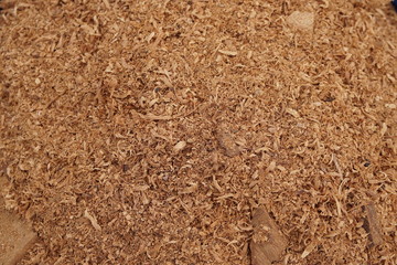 Close-up to wood sawdust background.