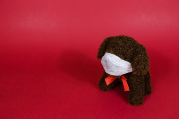 Small toy dog wearing protective medical mask, abstract concept of the call for coronavirus protection