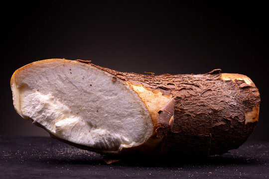 Brightly lit studio shot of edible Casava root with brown textured bark contrasted against a dark grey background