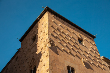 Fototapeta na wymiar Detail of the facade of the Casa de las Conchas in Salamanca