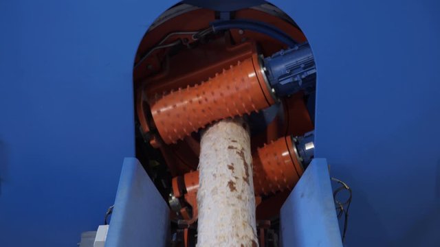 Modern Sawmill machine for cutting wood boards by using rolling metal cylinders and set blades, lots of sawdust. Industrial interior at a sawmill