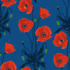 Seamless pattern with hand drawn red poppy flowers on blue background. Vector illustration.
