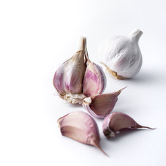 garlic cloves and garlic bulb and white background