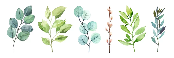 Aquarell handgemalte botanische Frühlingsblätter und Zweige Illustration isoliert auf weißem Hintergrund © Salnikova Studio