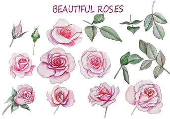 Fotobehang Rozen roze rozen mooie gestileerde bloemen. aquarel illustratie op witte achtergrond