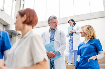 Group of doctors walking down stairs on medical conference.