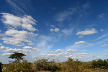 beautiful cloud textures and cover over northern natal