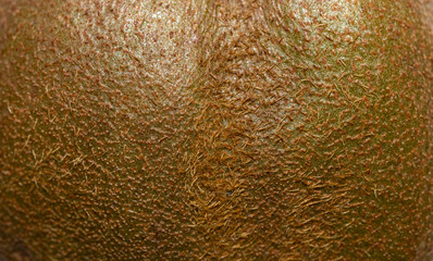 Kiwi skin close up details macro image as background image.
