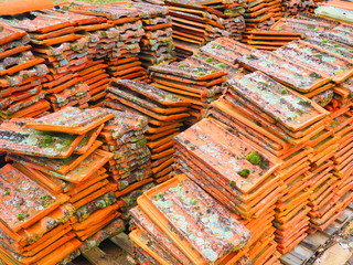 tejas amontonadas con musgo y liquenes