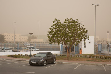 Sandstorm, dust, Jeddah, Saudi Arabia, 2020