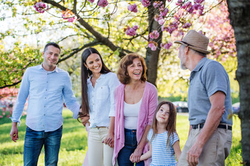 Three generation family on a walk outside in spring nature.