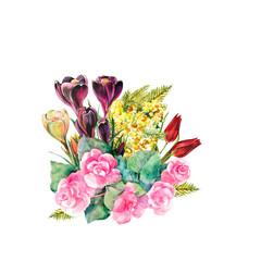 Crocus colored pencils. Floral illustration.