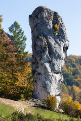 Limestone rock Bludgeon of Hercules in Pieskowa Skala, Poland - obrazy, fototapety, plakaty