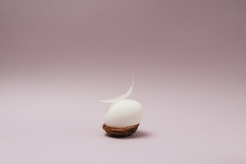 easter eggs on purple  background