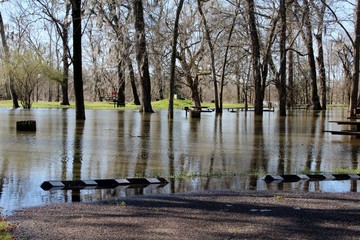 flooded picnic area