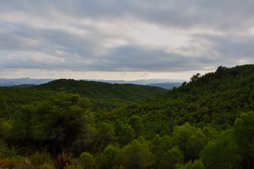 Fototapeta na wymiar Mountain landscape in the pine forests, Power
