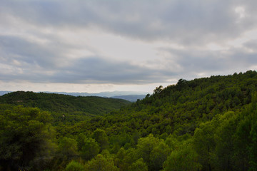 Mountain landscape in the pine forests, colors of nature