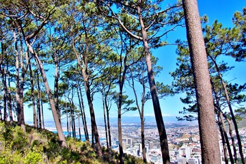Blick vom Signal Hill auf Kapstadt