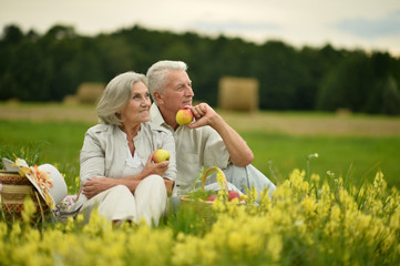 Portrait of happy senior couple on picnic