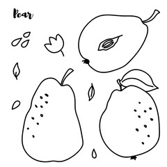 Pear vector drawing. Isolated hand drawn full pear and sliced pieces set. Summer fruit engraved style illustration. Detailed vegetarian food sketch. Great for label, poster, print