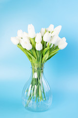 Bouquet of spring tulip flowers on a light blue background in a transparent vase. concept of spring and sunny mood. postcard. copy space