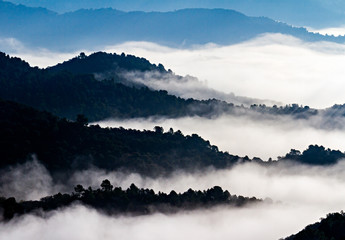 Mar de niebla entre montañas