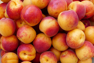 lots of pink-red great looking fresh apricots,