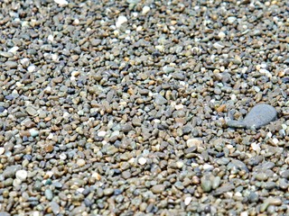 Kieselstrand