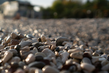 Wet pebbles on the seashore. Close up