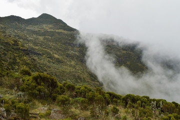 Rock formations in the foggy mountain landscapes of Aberdare Ranges, Kenya