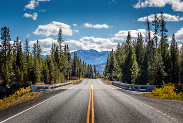 Road from Yellowstone National Park to Grand Teton National Park, Wyoming, USA - obrazy, fototapety, plakaty