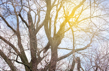 Beautiful winds view with the rays of the sun by the lake. Reeds, water, house