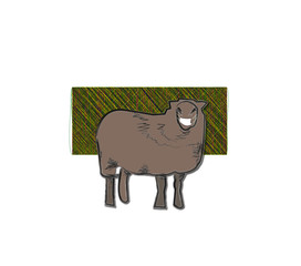 sheep, coronavirus, covid-19