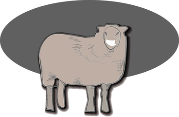 sheep, coronavirus, covid-19