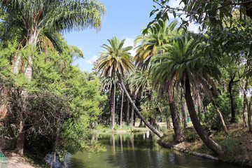 Obraz premium A pleasant walk through the Rodó Park of Montevideo in Uruguay.